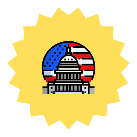 American Goverment