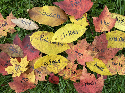 Wild Reading® Level 2