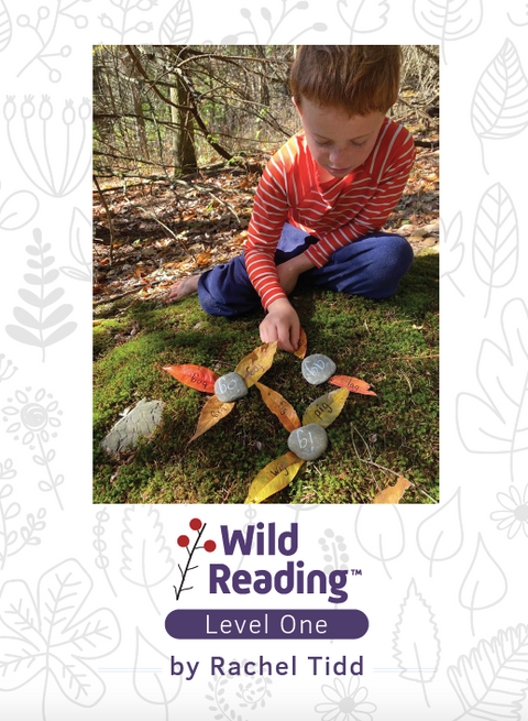 Wild Reading Curriculum Level 1
