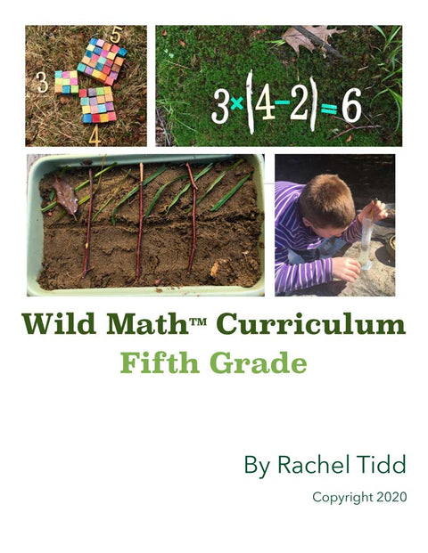 Wild Math Curriculum: Fifth Grade