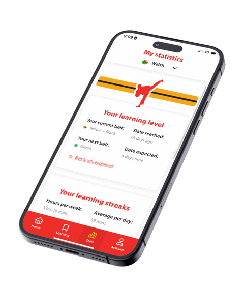 Say Something in Spanish