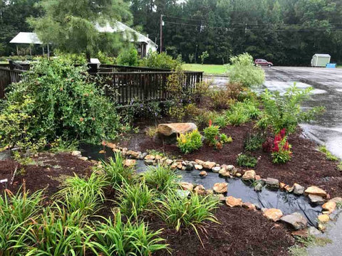 Living Landscapes Home