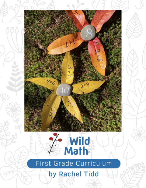 Wild Math Curriculum: First Grade