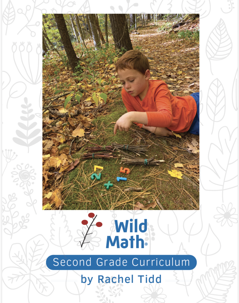 Wild Math Curriculum: Second Grade:an in-depth review of educational ...