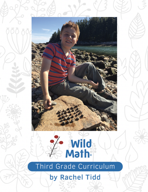 Wild Math Curriculum: Third Grade