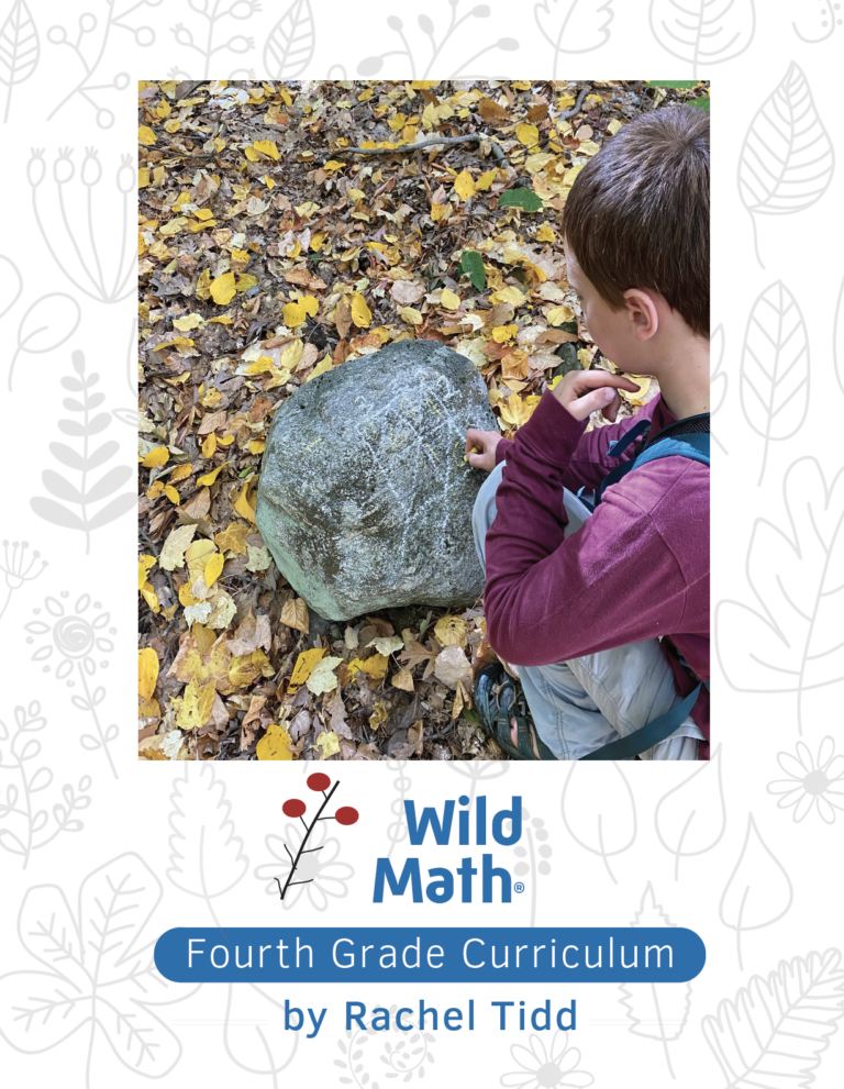 Wild Math Curriculum: Fourth Grade: is it the right choice for your ...