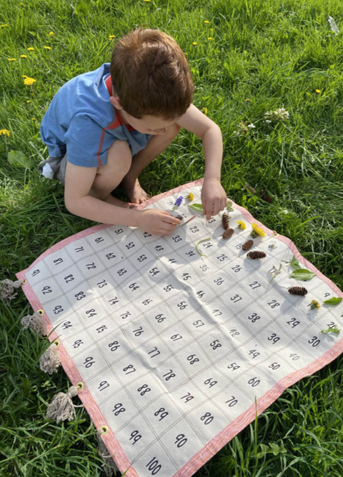 Wild Math Curriculum