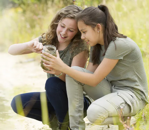 REAL Science Odyssey Level 2 (Grades 6-10)