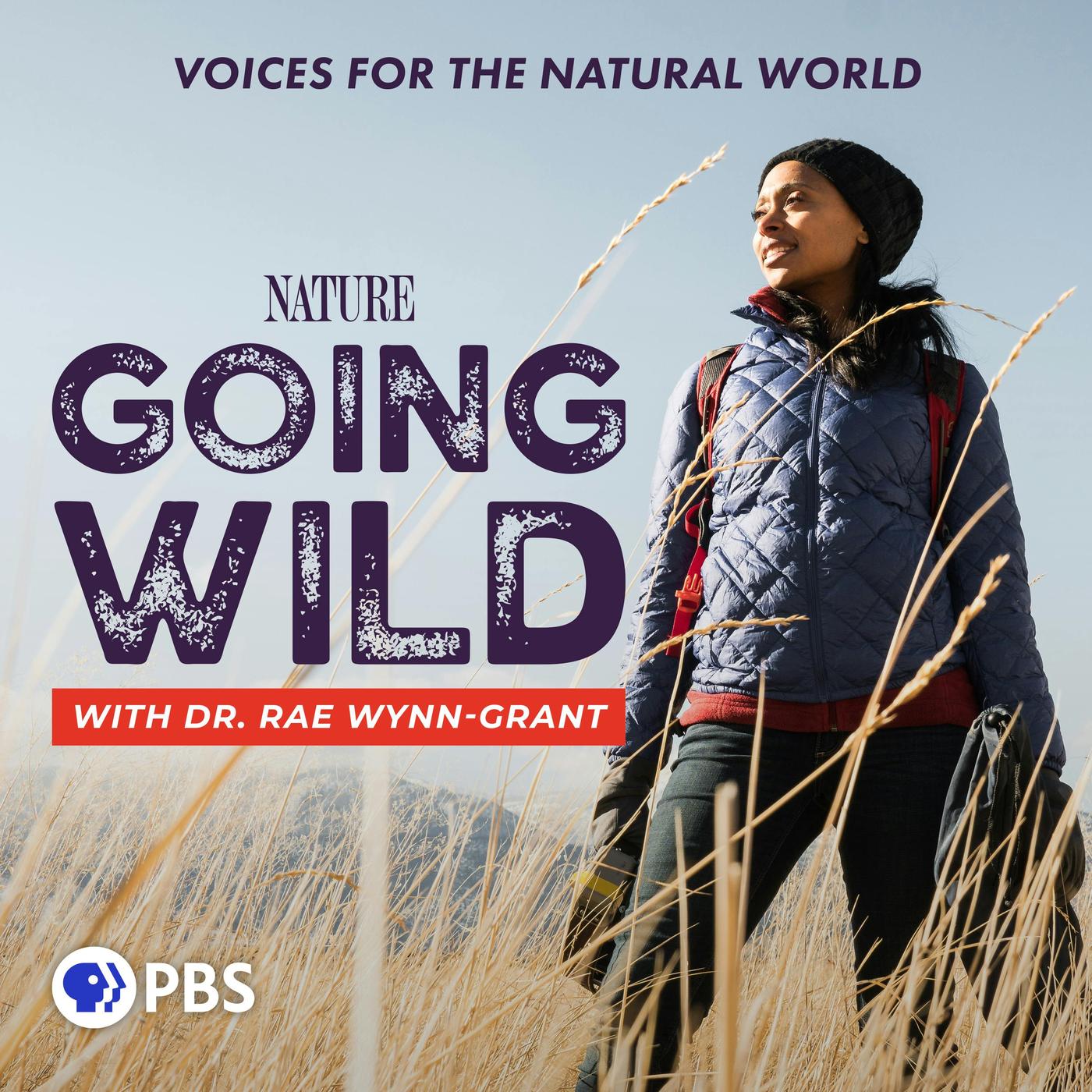 Going Wild with Dr. Rae Wynn-Grant: A Research-Informed Review – Modulo
