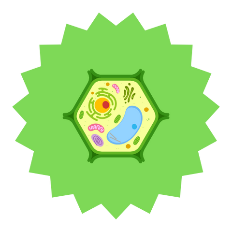 Microbiology