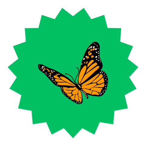 Nature Study