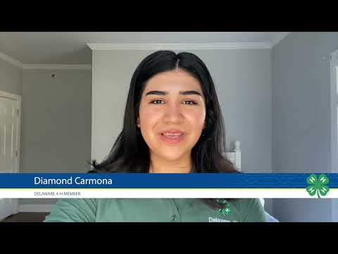 4H Find Your Voice Public Speaking