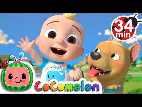 Coco Melon: A Clear Breakdown for Homeschoolers – Modulo