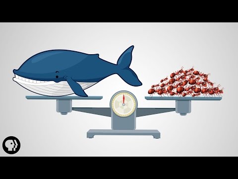 It’s Okay To Be Smart