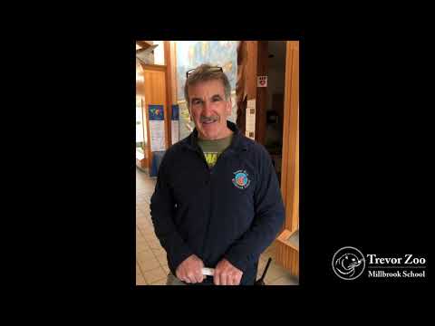 Trevor Zoo at Millbrook School