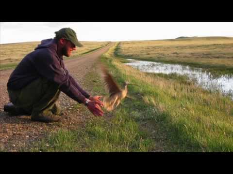 Point Blue Conservation Science