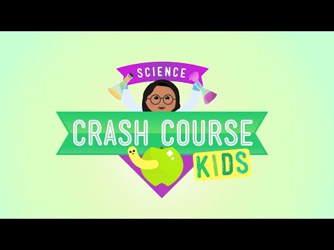 Crash Course Kids