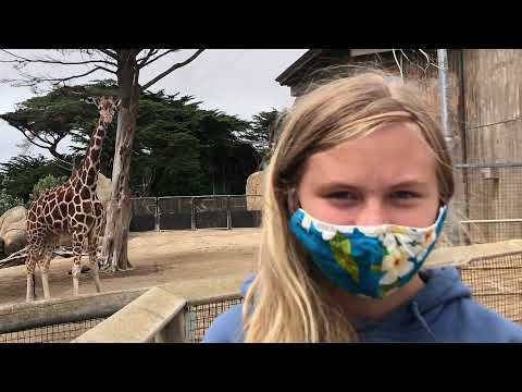 San Francisco Zoo & Gardens