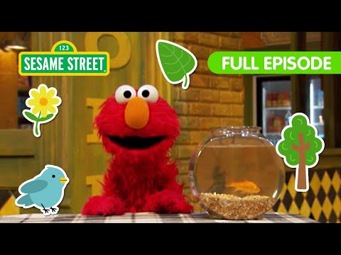 Sesame Street
