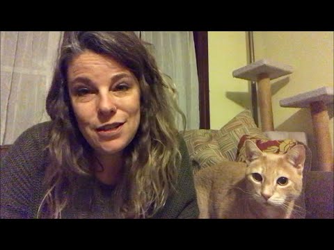 One Last Word: Wisdom from the Harlem Renaissance