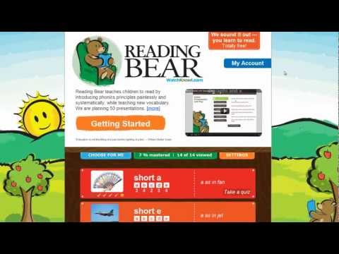 Reading Bear