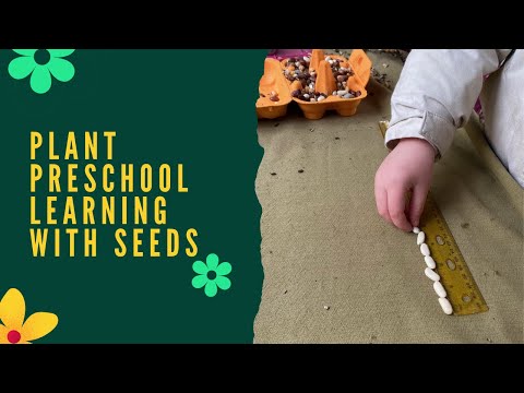 Teach Preschool Science