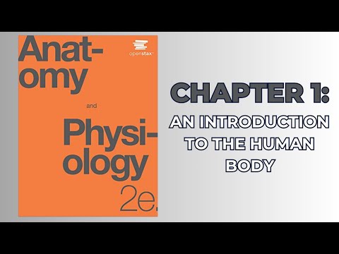 Generic Anatomy and Physiology Text for Teens