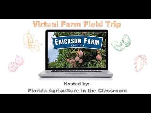 Florida Agriculture in the Classroom