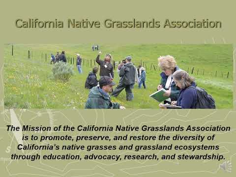 California Native Grasslands Association