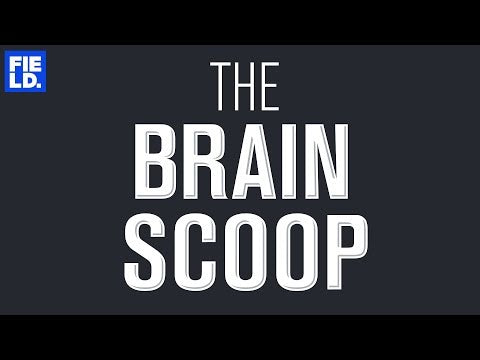 Field Museum Learning Resources