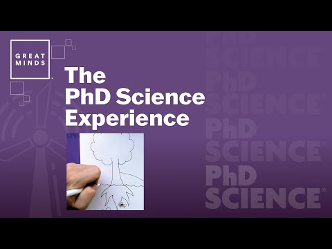 PhD Science