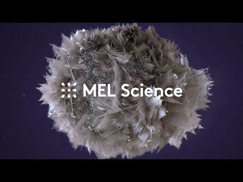 Mel Science