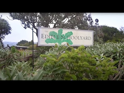 Edible Education Curricula