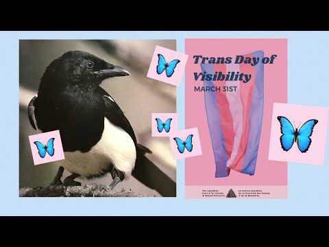 The Out Side: Trans & Nonbinary Comics