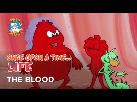 Once Upon a Time Life Series