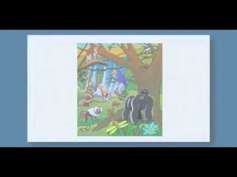 Woodcock–Johnson Tests of Achievement