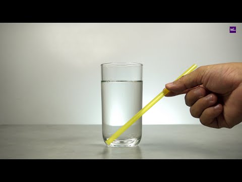 Science Fair Project Ideas from Science Buddies