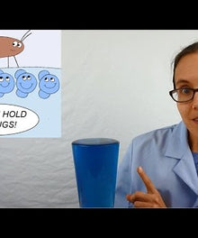 Science Mom – Modulo