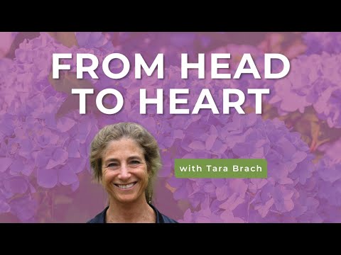 Tara Brach