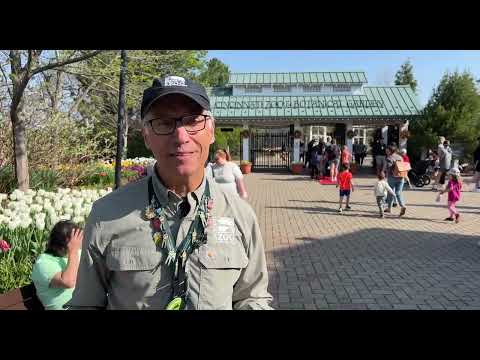 Cincinnati Zoo Channel