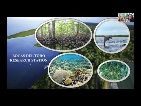 Smithsonian Tropical Research Institute