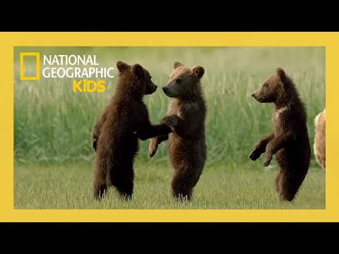 NatGeokids