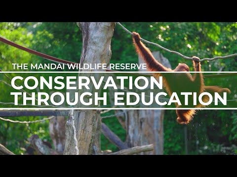 Mandai Wildlife Reserve
