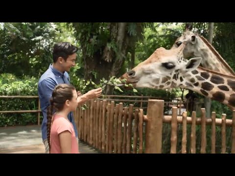 Wildlife Reserves Singapore