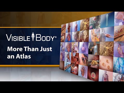 Visible Body Anatomy Learn Site