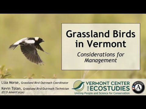 Vermont Center for Ecostudies