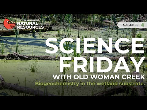 Science Friday: Detailed review for families – Modulo