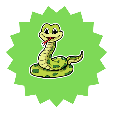 Python