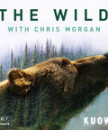 The Wild with Chris Morgan
